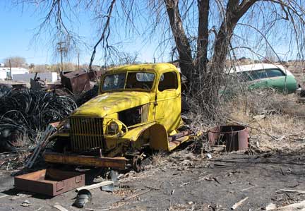 Would you like to have the CCKW? See the tree in the background? Well, the frame of the truck is in the middle of the tree. The tree actually grew up and encased the frame inside the trunk of the tree.