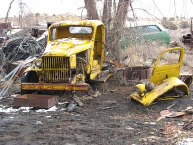We decided not to cut the tree down to remove the truck afterall. We just parted it out. Anyone need CCKW stuff?