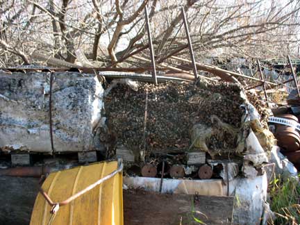 Camo netting on pallets, rotting away.