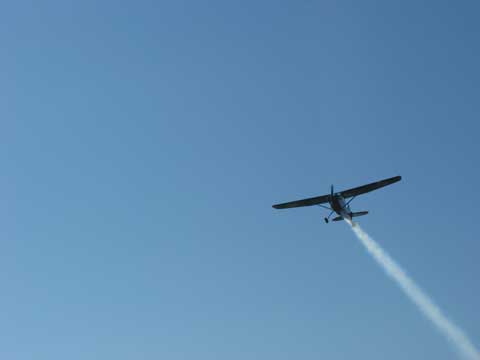 The L19 Bird dogs doing some aerial recon and demonstrations.