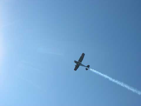 The L19 Bird dogs doing some aerial recon and demonstrations.