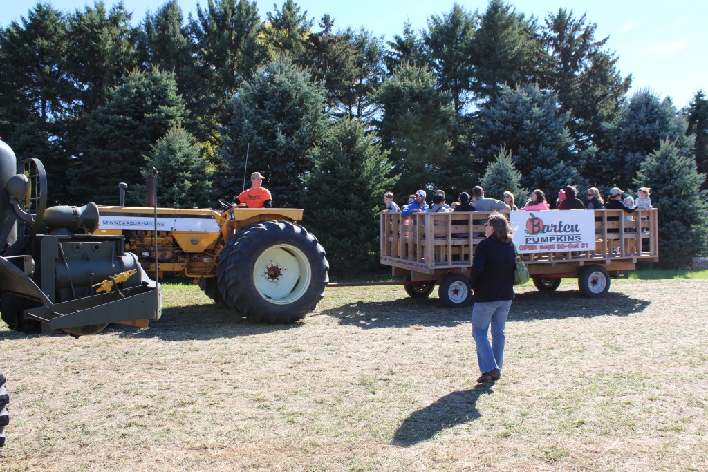 Pumpkin-Patrol-2015-06