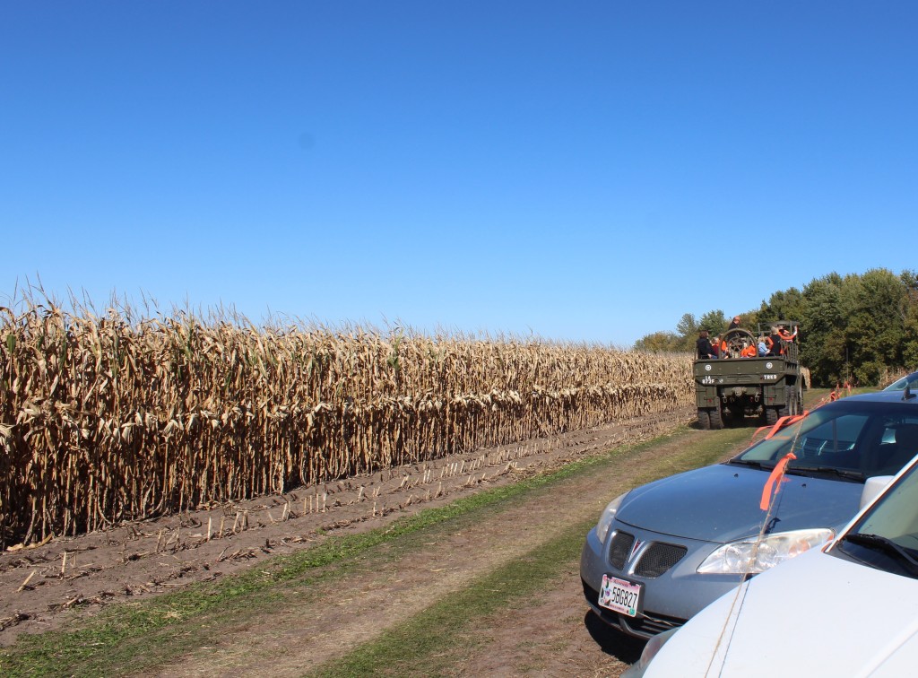 Pumpkin-Patrol-2015-13