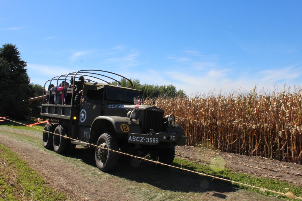 Pumpkin-Patrol-2015-14