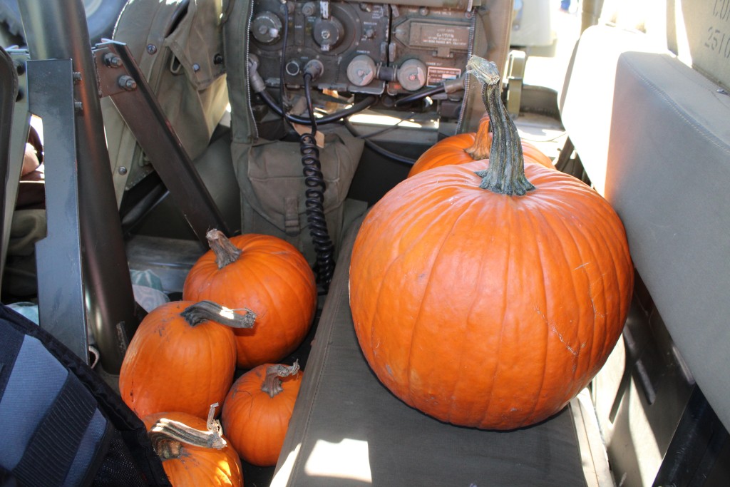 Pumpkin-Patrol-2015-24