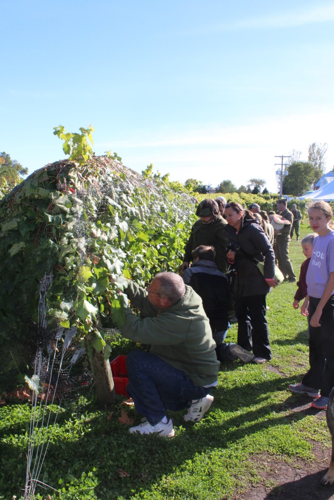 Pumpkin-Patrol-2015-30