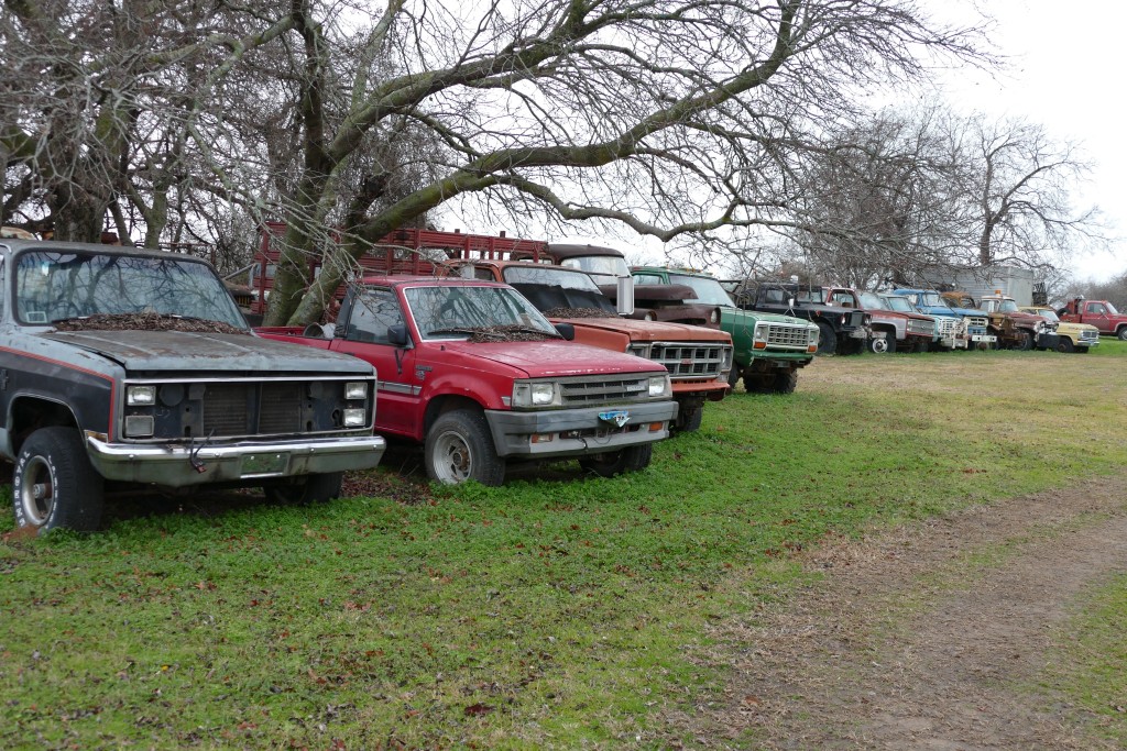 TX-jan-16-picking-trip-034