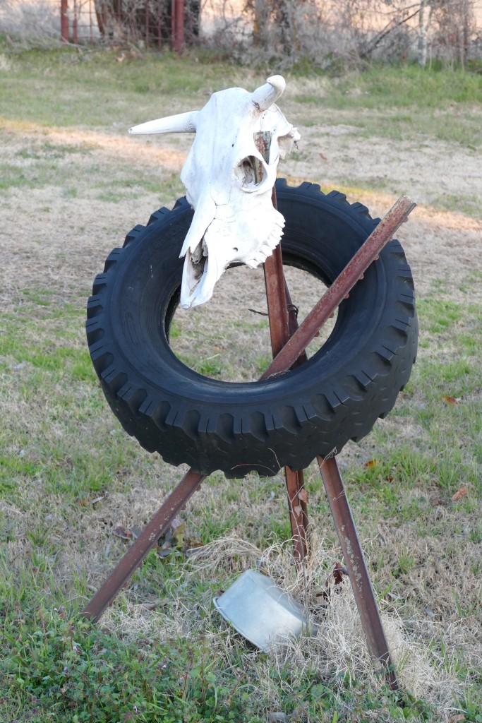 Texas yard art