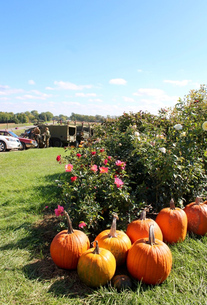 pumpkin-patrol-2016-10