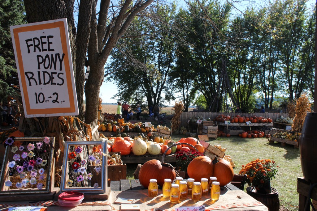 pumpkin-patrol-2016-39